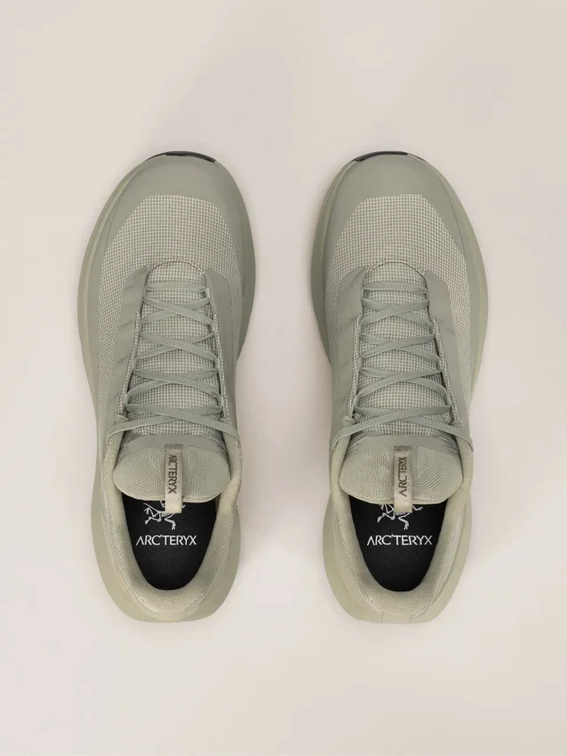 Zapatos Norvan LD 4 GTX para hombre