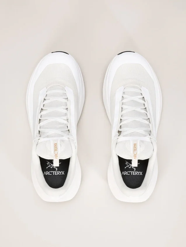 Zapatos Norvan LD 4 GTX para hombre