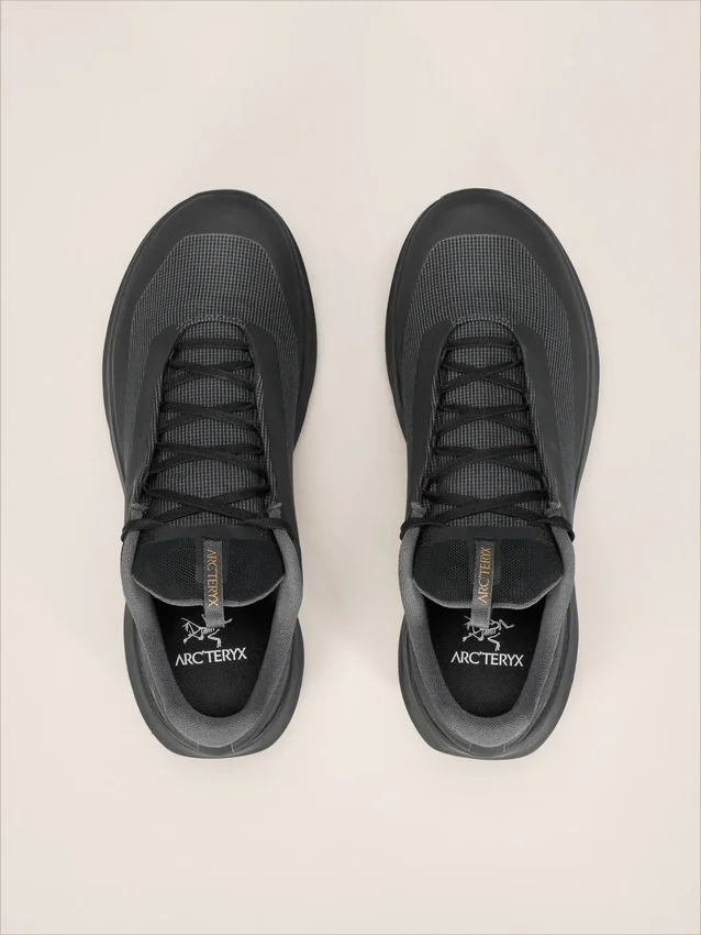 Zapatos Norvan LD 4 GTX para hombre