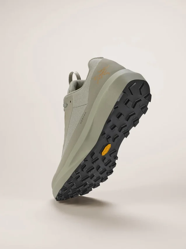 Zapatos Norvan LD 4 GTX para hombre