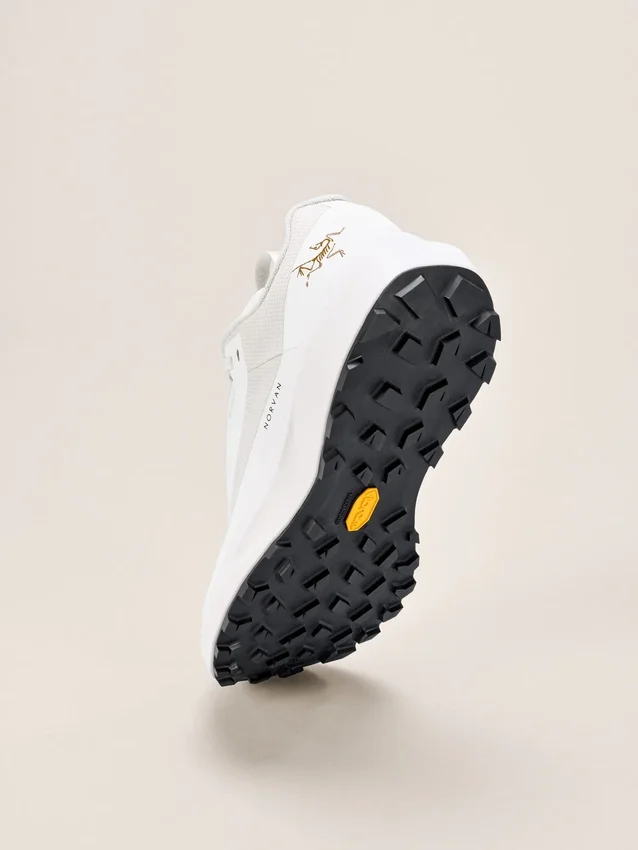 Zapatos Norvan LD 4 GTX para hombre
