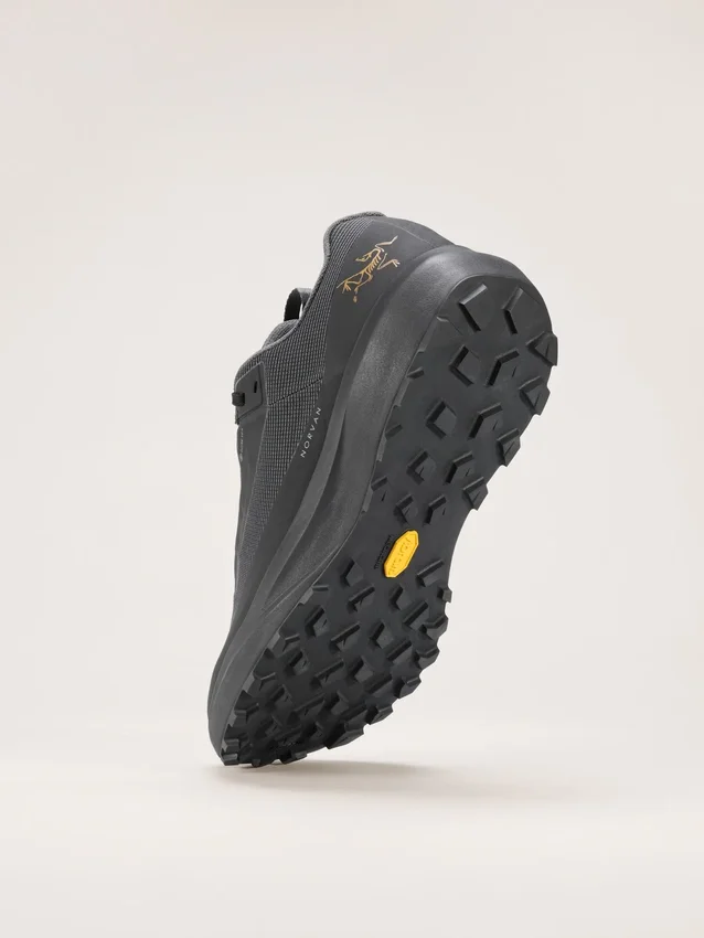 Zapatos Norvan LD 4 GTX para hombre