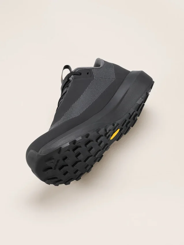 Zapatos Norvan LD 4 GTX para hombre